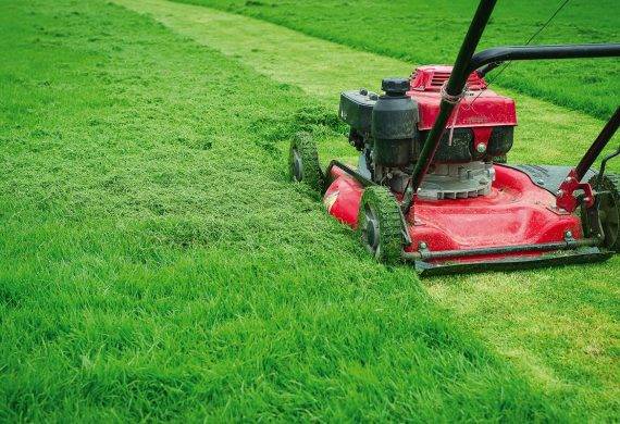 Re-turfing Abingdon