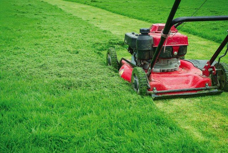 Re-turfing Abingdon