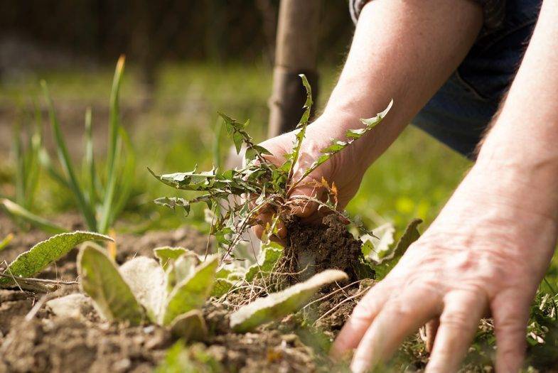 Re-turfing Abingdon