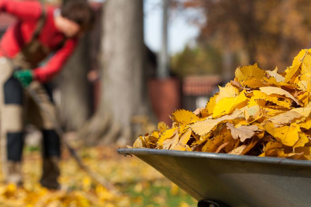 Autumn Garden Maintenance