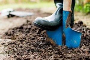 Border Garden Maintenance