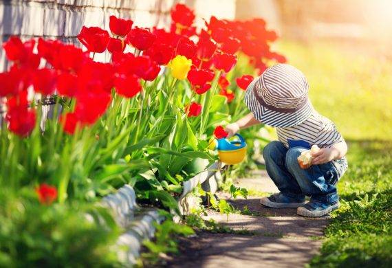 Children in the garden