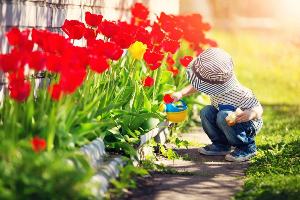 Children in the garden