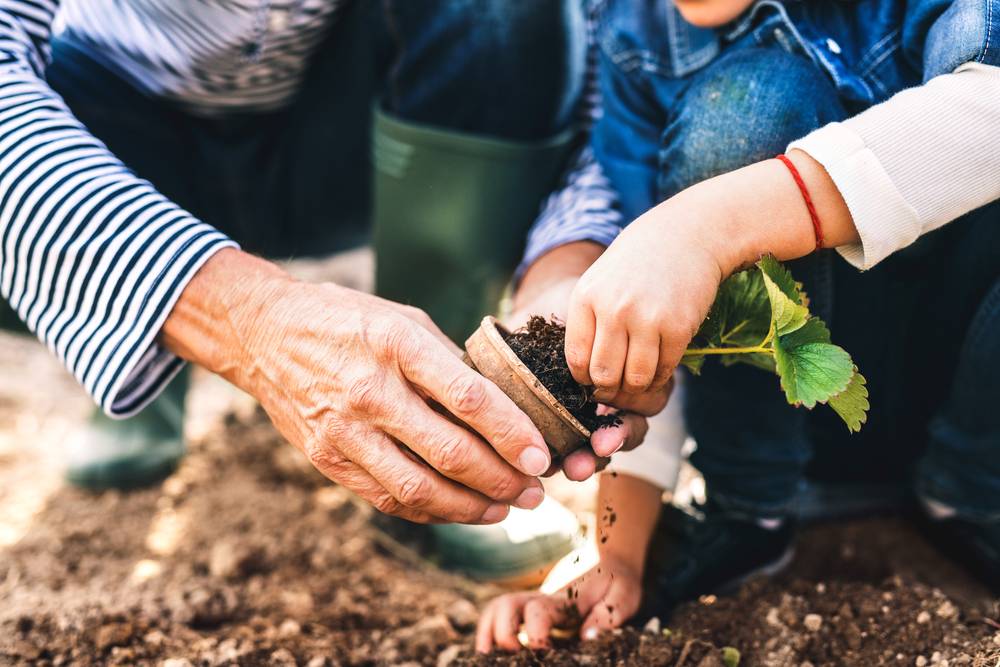 Gardening For Mental Health Awareness Week