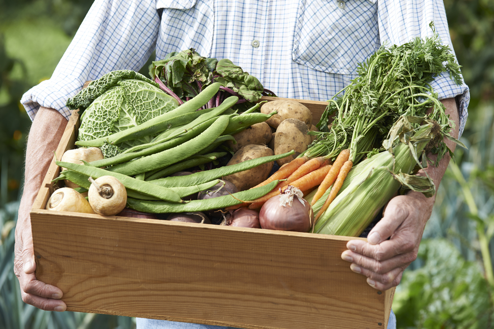 Allotment_Week