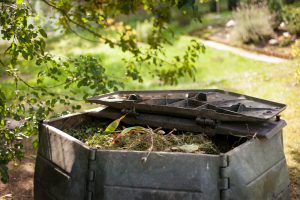 August_composting