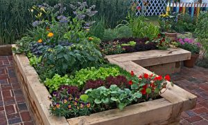 National_Allotment_week