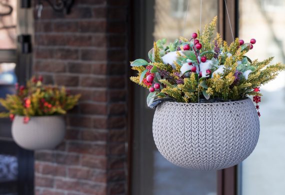 winter-hanging-baskets