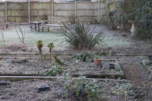 fleece-your-winter-garden