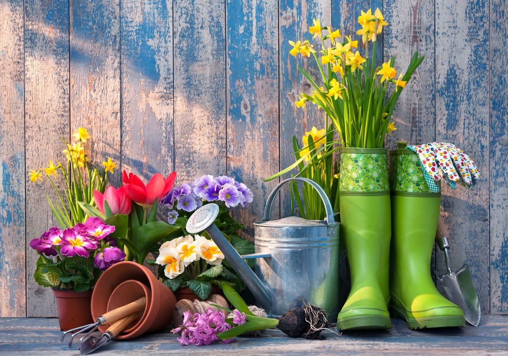 spring-landscaping