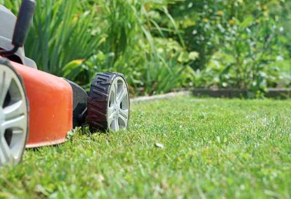 garden-maintenance
