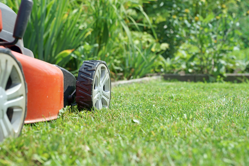 garden-maintenance