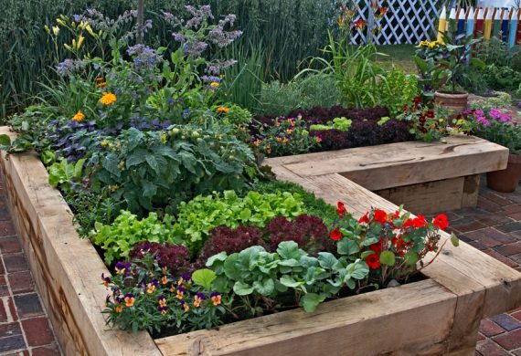 raised-flower-beds