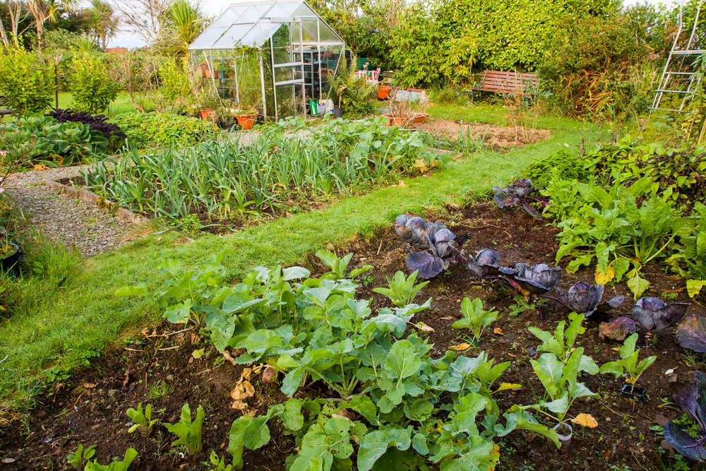 allotment-week