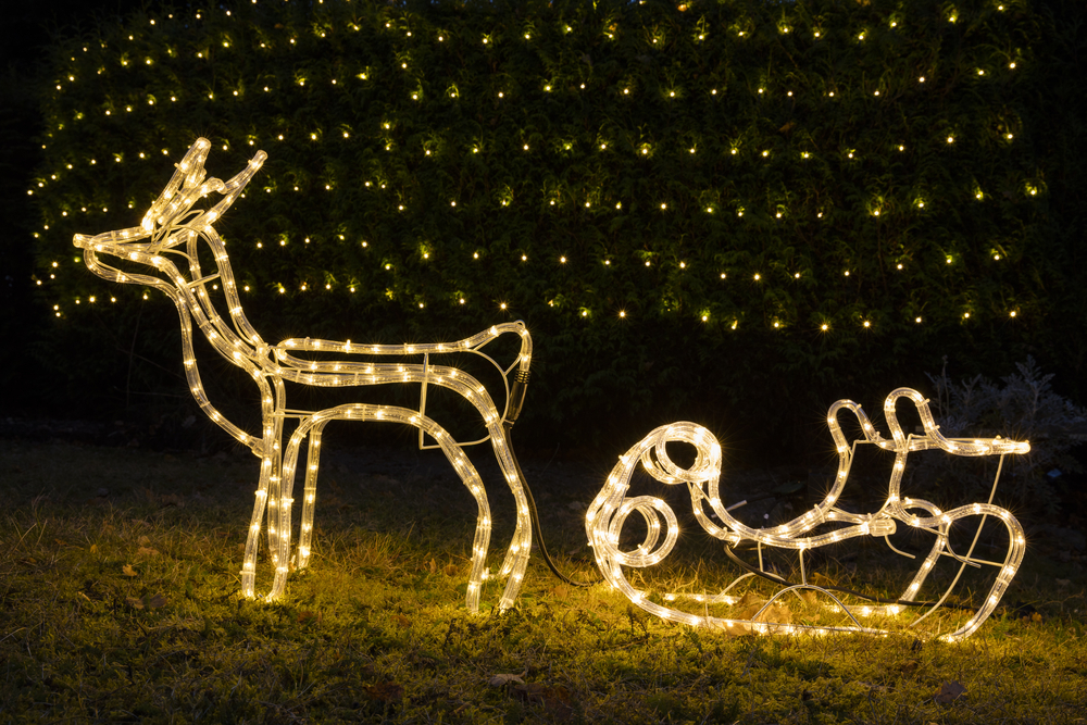 Reindeer with slay Christmas decoration on garden grass