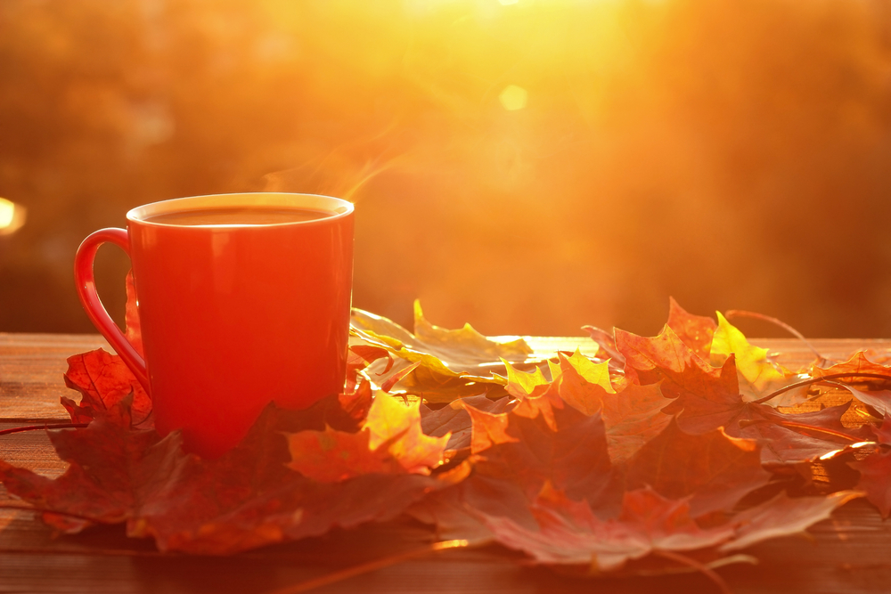 A hot drinks surrounded by brown autumn leaves.