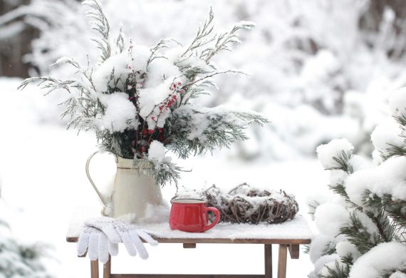 Garden table and flowers covered in snow