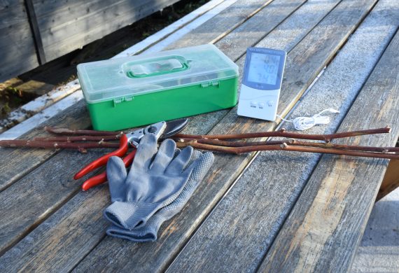 Gloves and a handy toolbox for gardening