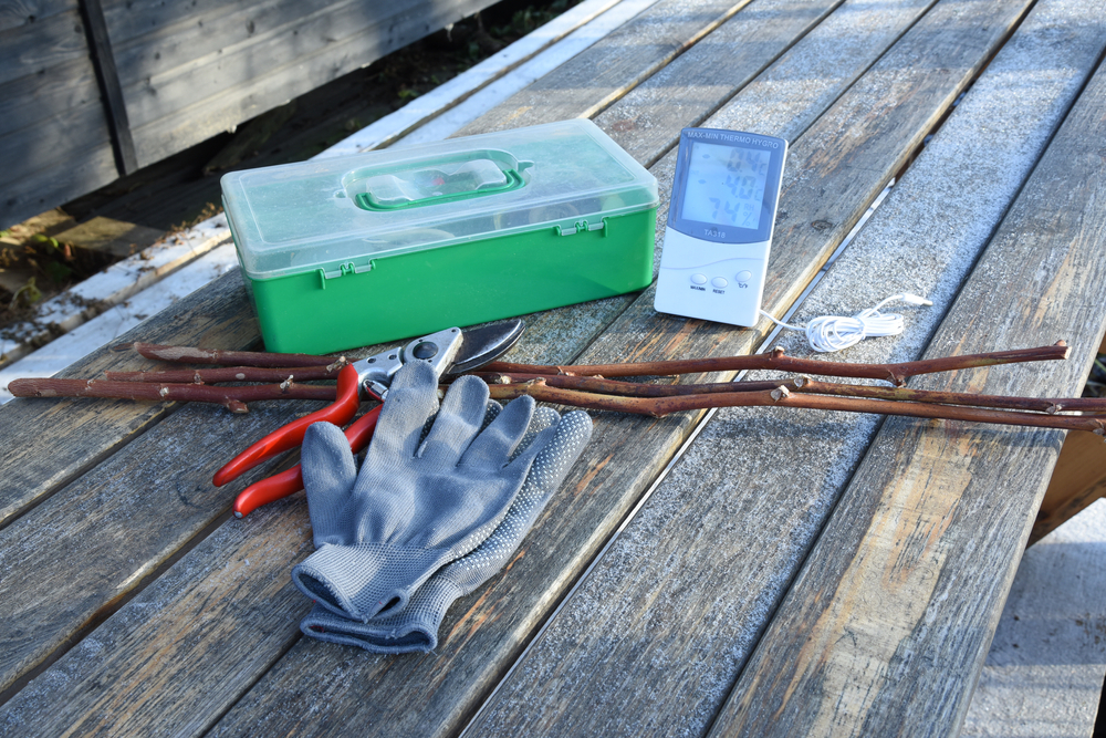 Gloves and a handy toolbox for gardening