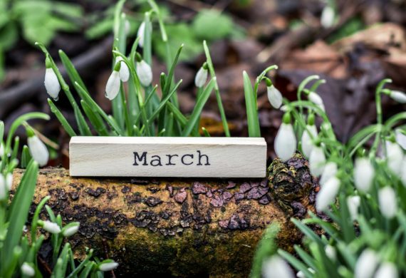 A small piece of wood which says March on it.