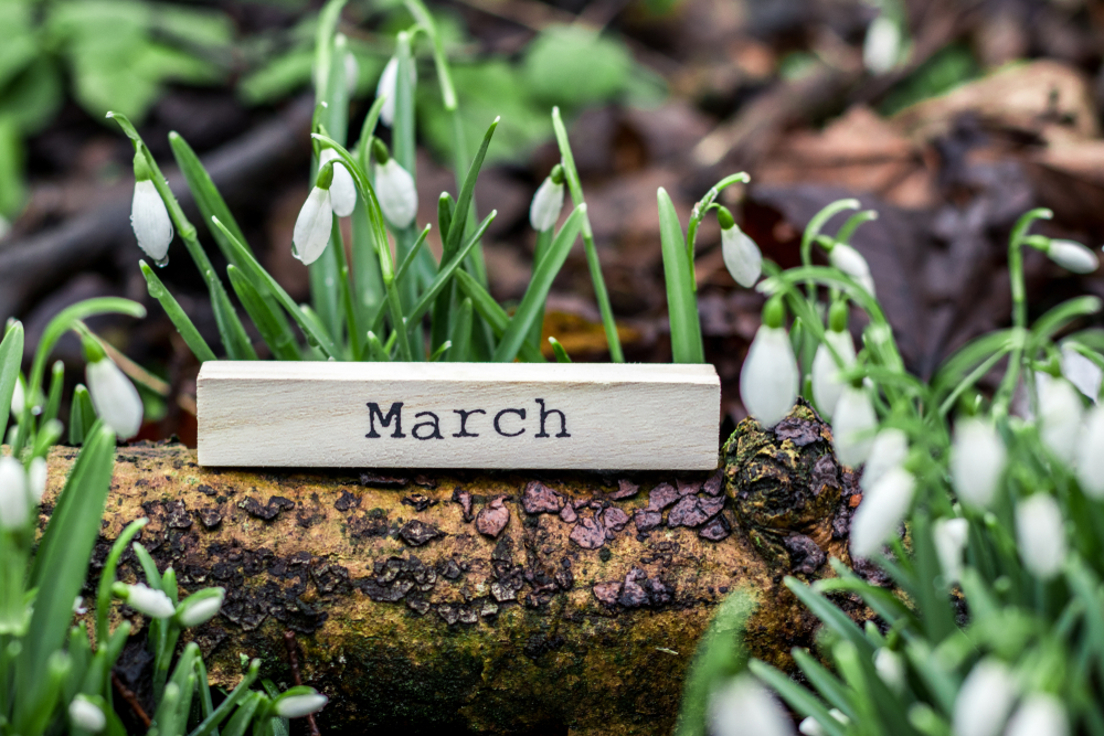 A small piece of wood which says March on it.