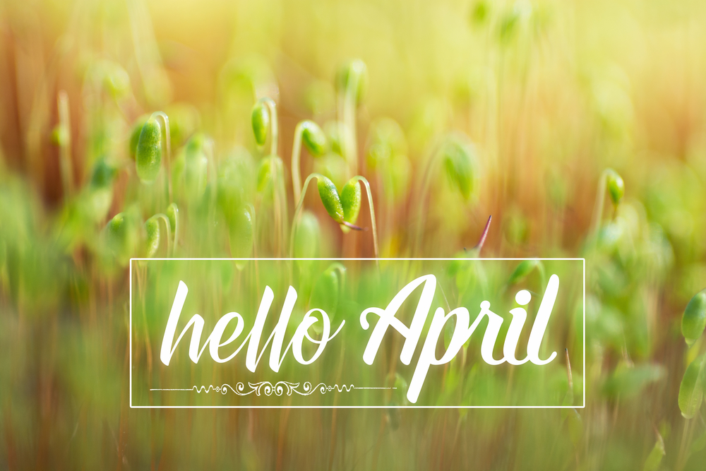 Hello April- Ways to Prepare for April