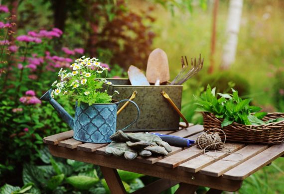 Some of the tools for your July garden maintenance which include a handy toolbox and watering can.