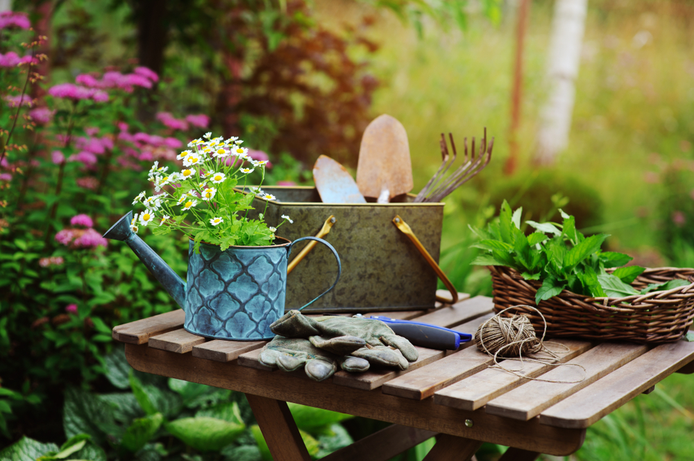 Some of the tools for your July garden maintenance which include a handy toolbox and watering can.