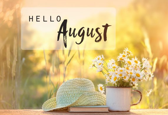 Hello August- there are many garden landscaping jobs to do this August.