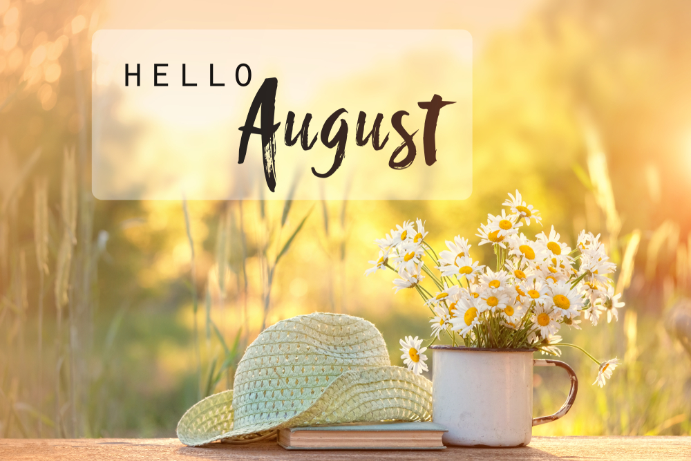 Hello August- there are many garden landscaping jobs to do this August.