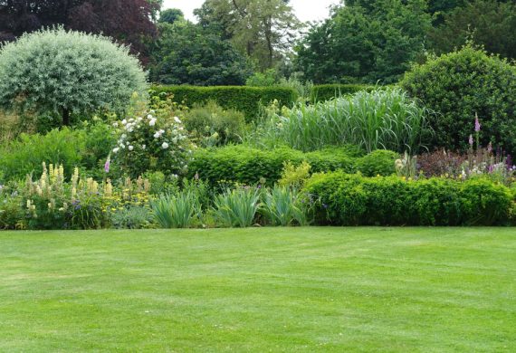 A long shot of a picturesque garden