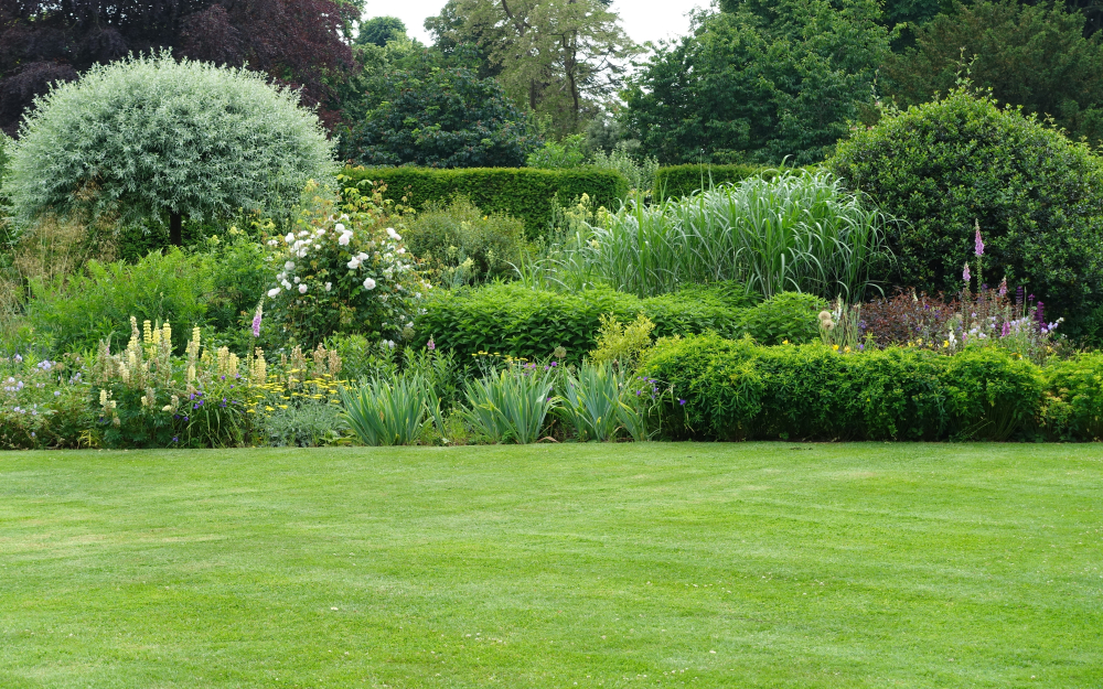 A long shot of a picturesque garden