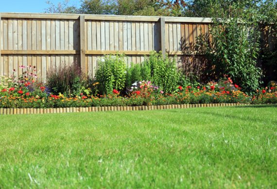 Fencing and Scrubs by perfectly cut grass