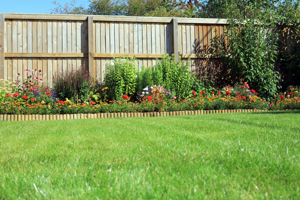 Fencing and Scrubs by perfectly cut grass